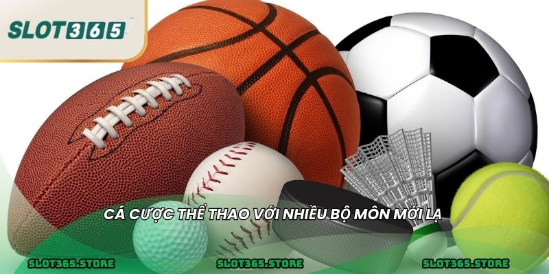 Cá cược thể thao với nhiều bộ môn mới lạ