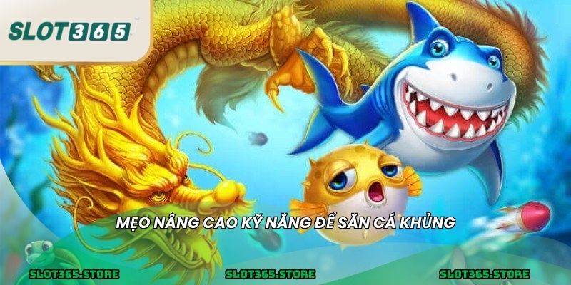Mẹo nâng cao kỹ năng để săn cá khủng