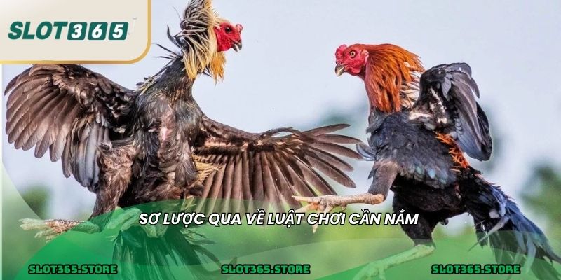Sơ lược qua về luật chơi cần nắm