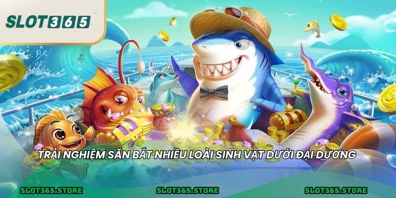 Trải nghiệm săn bắt nhiều loài sinh vật dưới đại dương